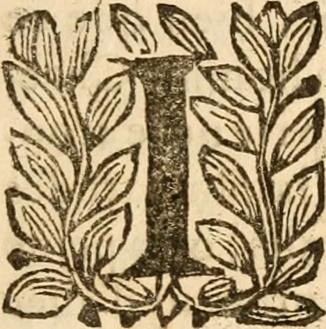 An illustration from Defense de la doctrine de Calvin : sur le suiet de l'election et de la reprobation, 1644, leaf 28