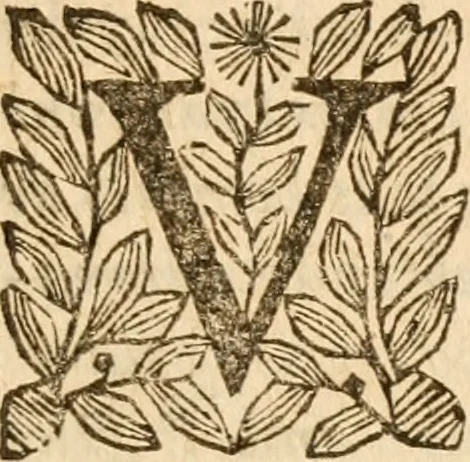 An illustration from Defense de la doctrine de Calvin : sur le suiet de l'election et de la reprobation, 1644, leaf 34