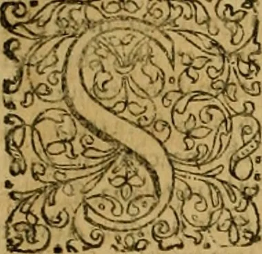 An illustration from De fideicommissis praesertim universalibus, tractatus frequentissimus, M. Antonii Peregrini ... : ab eodem ultima hac est post germanicam editionem, summa diligentia recognitus & compluribus additamentis recenter adauctus & illustratus, 1668, leaf 1031