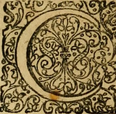 An illustration from De fideicommissis praesertim universalibus, tractatus frequentissimus, M. Antonii Peregrini ... : ab eodem ultima hac est post germanicam editionem, summa diligentia recognitus & compluribus additamentis recenter adauctus & illustratus, 1668, leaf 1039