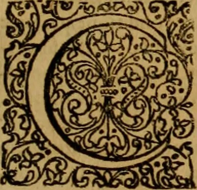 An illustration from De fideicommissis praesertim universalibus, tractatus frequentissimus, M. Antonii Peregrini ... : ab eodem ultima hac est post germanicam editionem, summa diligentia recognitus & compluribus additamentis recenter adauctus & illustratus, 1668, leaf 1064