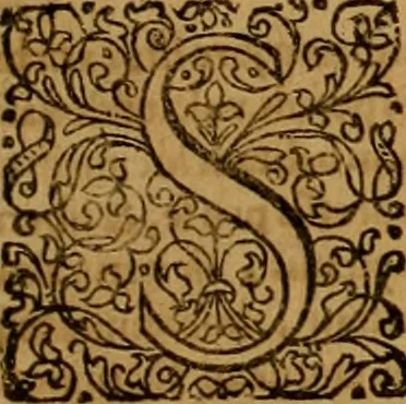 An illustration from De fideicommissis praesertim universalibus, tractatus frequentissimus, M. Antonii Peregrini ... : ab eodem ultima hac est post germanicam editionem, summa diligentia recognitus & compluribus additamentis recenter adauctus & illustratus, 1668, leaf 1080