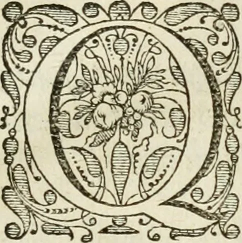 An illustration from De formvlæ regnante Christo : in veterum monumentis vsv, iustas pro regibus maximis Philippo I & II, summaque regum omnium potestate, vindicias complexa diatribe, 1646, leaf 14