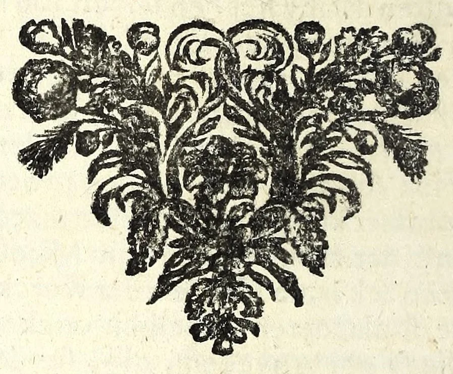An illustration from De fransche tyrannie, dat is, Oprecht en waerachtig verhael van de grouwelijke wreetheden tot bodegraven, swammerdam en elders door de franssen gepleegt : benevens de laste toght van't heir des koninks van Vrankrijk in Brabant en Vlaenderen, met bygevoegde autentijke stukken : getrouwelijk, naer't origineel, uit het Frans vertaelt : en vermeerdert met'et gepasseerde op de dorpen van nichtvecht, waverveen en abkoude : met schoone kopere platen verçiert, 1674, leaf 338