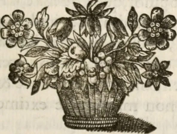 An illustration from De freqventi commvnione liber, in qvo ss. patrvm, pontificvm, et conciliorvm de poenitentiae atqve Eucharistiae sacramentorum vsu sententiae summa fide proferuntur, vt pro norma omnibus esse possint .., 1647, leaf 630