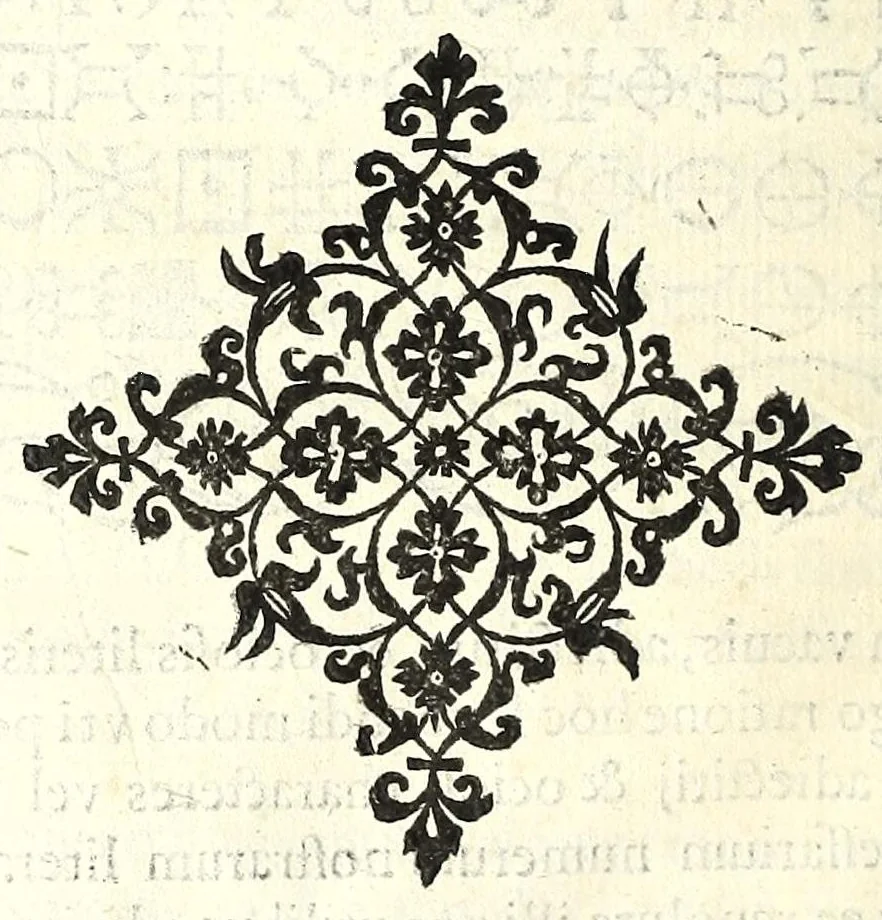 An illustration from De fvrtivis literarvm notis, vulgo, De ziferis libri IIII, 1563, leaf 106