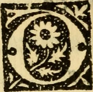 An illustration from De gestis Joanne virginis France egregie bellatricis libri quattuor..., 1516, leaf 101