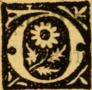 An illustration from De gestis Joanne virginis France egregie bellatricis libri quattuor..., 1516, leaf 122