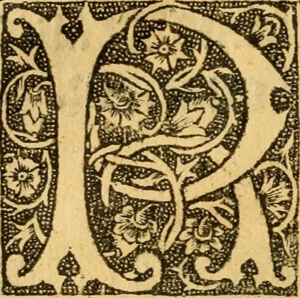 An illustration from De gestis Joanne virginis France egregie bellatricis libri quattuor..., 1516, leaf 5
