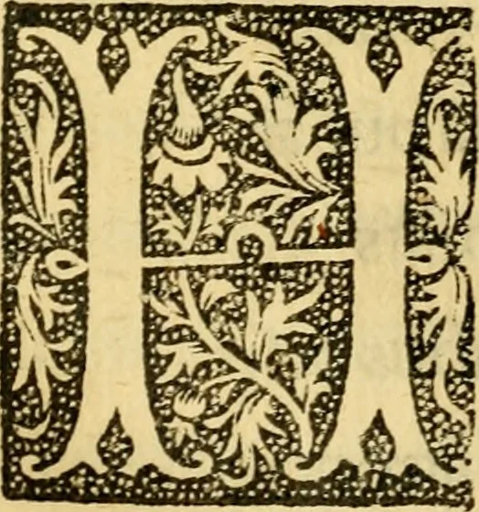 An illustration from De gestis Joanne virginis France egregie bellatricis libri quattuor..., 1516, leaf 66