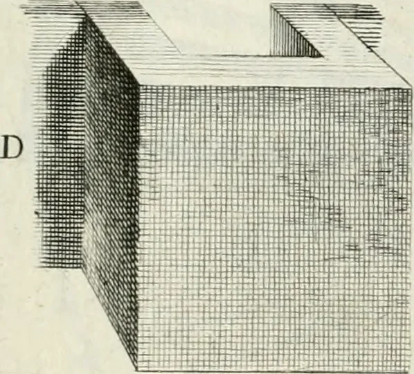 An illustration from Degli anfiteatri e particolarmente del Flavio di Roma, di quello d' Italica nella Spagna, e di quello di Pola nell' Istria, 1788, leaf 110