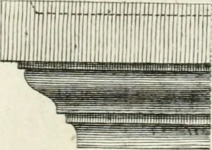An illustration from Degli anfiteatri e particolarmente del Flavio di Roma, di quello d' Italica nella Spagna, e di quello di Pola nell' Istria, 1788, leaf 110