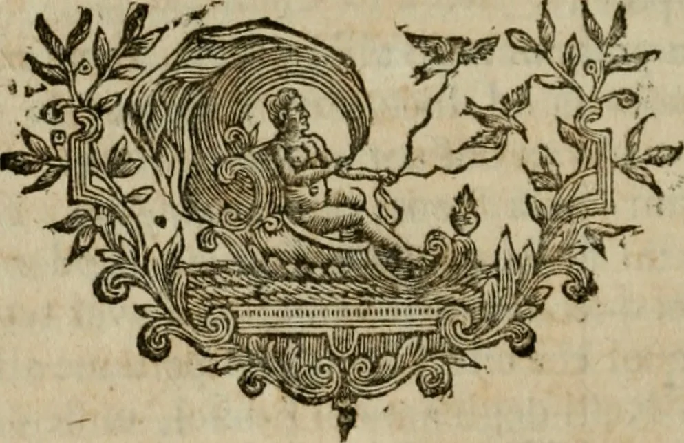 An illustration from Degli avanzi dell'antica Roma : opra [sic] postuma, 1739, leaf 19