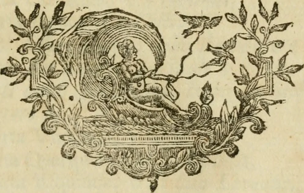 An illustration from Degli avanzi dell'antica Roma : opra [sic] postuma, 1739, leaf 466
