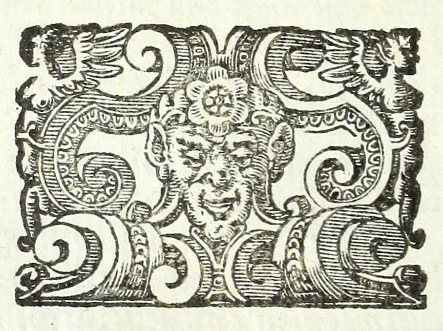 An illustration from De gli avtomati, ouero, Machine se moventi, libri duo, 1589, leaf 98