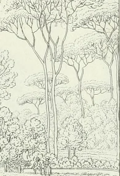 An illustration from Degli edificj antichi e moderni di Roma; vedute in contorno, 1817, leaf 36