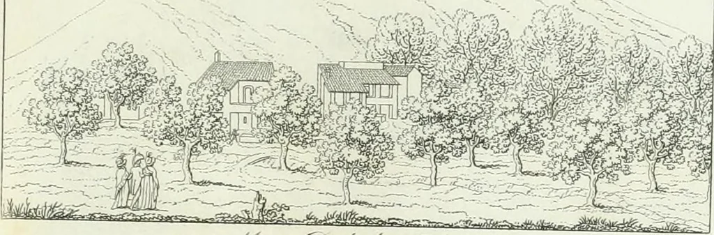 An illustration from Degli edificj antichi e moderni di Roma; vedute in contorno, 1817, leaf 70