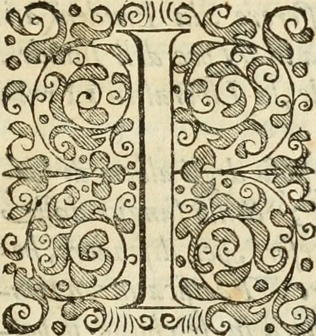 An illustration from De gli eroi della serenissima casa d'Este, ch'ebbero il dominio in Ferrara, memorie di Francesco Berni, al serenissimo signor dvca Francesco d'Este .., 1640, leaf 28