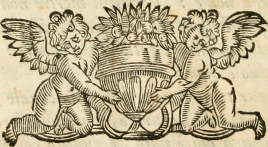 An illustration from De gli eroi della serenissima casa d'Este, ch'ebbero il dominio in Ferrara, memorie di Francesco Berni, al serenissimo signor dvca Francesco d'Este .., 1640, leaf 79