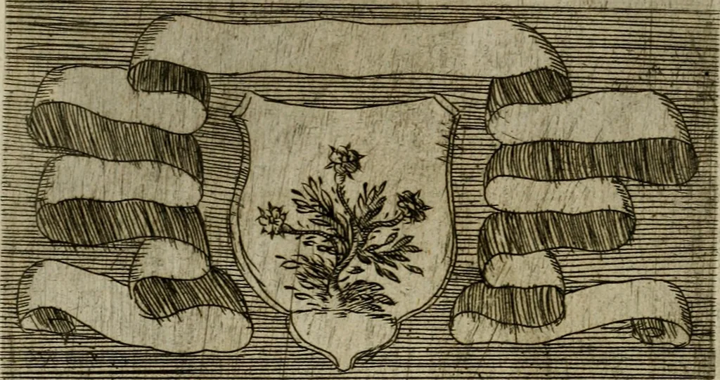 An illustration from De gli habiti delle religioni con le armi e breue descrittion loro, libro primo[-terza], 1626, leaf 155