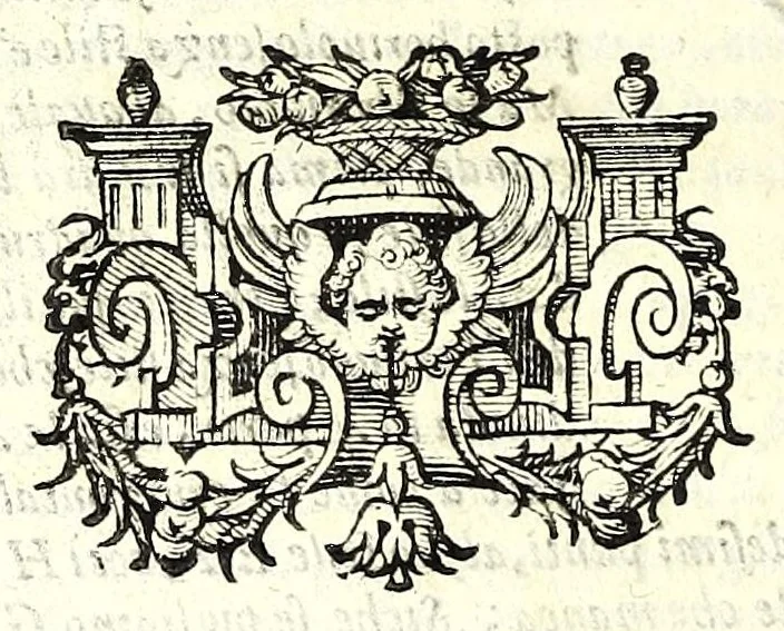 An illustration from De gli horiuoli a sole, 1616, leaf 254