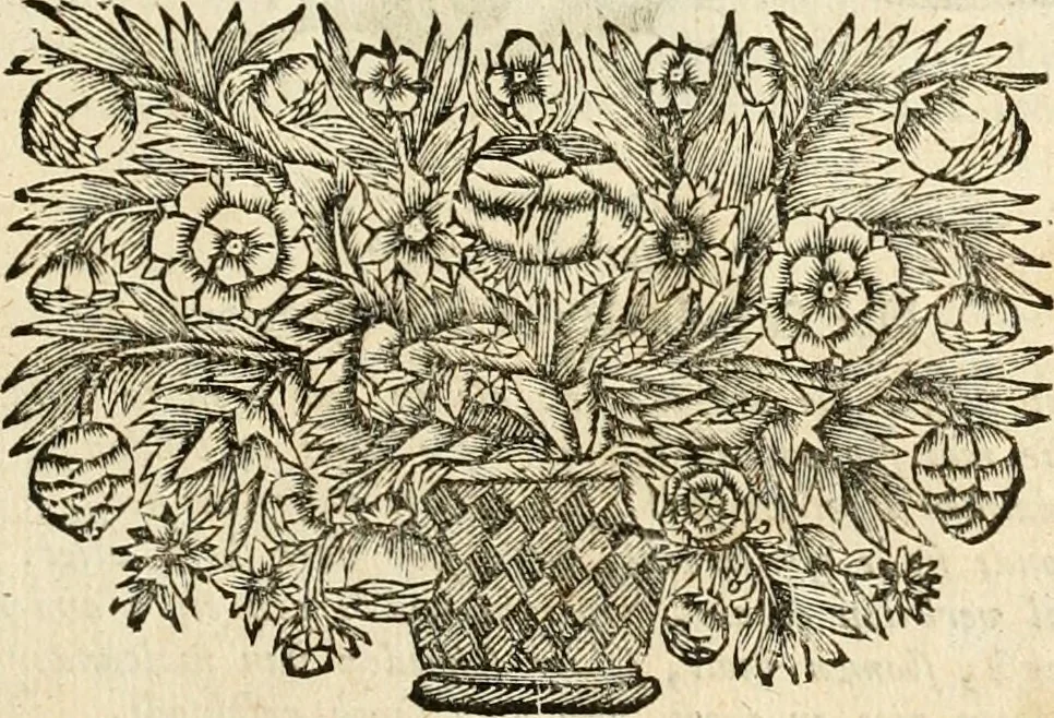 An illustration from De goddelycke voorsienigheydt uytgebeeldt in Joseph onder-coninck van Egypten : verciert met sinne-beelden ende sede-leeringen, 1710, leaf 186