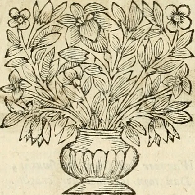 An illustration from De goddelycke voorsienigheydt uytgebeeldt in Joseph onder-coninck van Egypten : verciert met sinne-beelden ende sede-leeringen, 1710, leaf 94