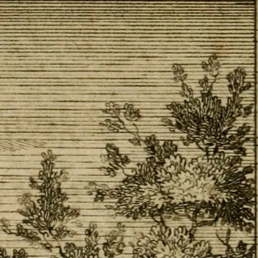 An illustration from De godlievende ziel vertoont in zinnebeelden, 1737, leaf 279