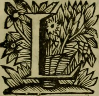 An illustration from De Graecae ecclesiae hodierno statu epistola :, 1698, leaf 14
