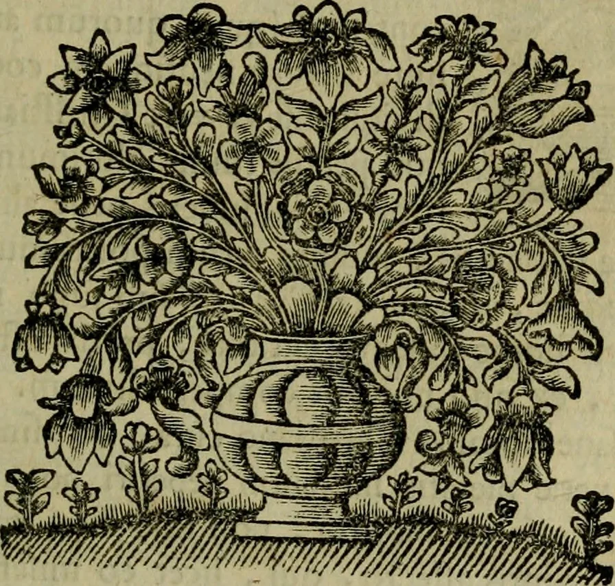An illustration from De Graecae ecclesiae hodierno statu epistola :, 1698, leaf 24