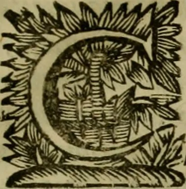 An illustration from De Graecae ecclesiae hodierno statu epistola :, 1698, leaf 6