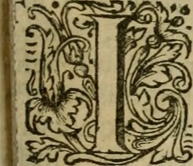 An illustration from De groote schouburgh der Nederlantsche konstschilders en schilderessen : waar van 'er vele met hunne beeltenissen ten tooneel een verschynen, en hun levensgedrag en konstwerken beschreven worden : zynde een vervolg op Het Schilderboek van K. v. Mander, 1718, leaf 24