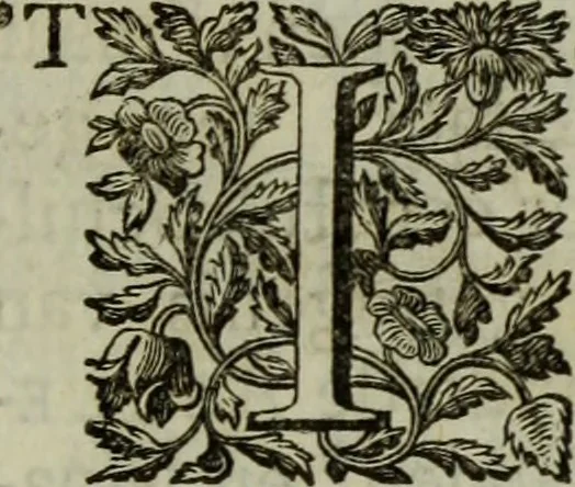 An illustration from De groote schouburgh der Nederlantsche konstschilders en schilderessen : waar van 'er veele met hunne beeltenissen ten tooneel verschynen, en hun levensgedrag en konstwerken beschreven worden : zynde een vervolg op het Schilderboek van K. v. Mander ..., 1753, leaf 16