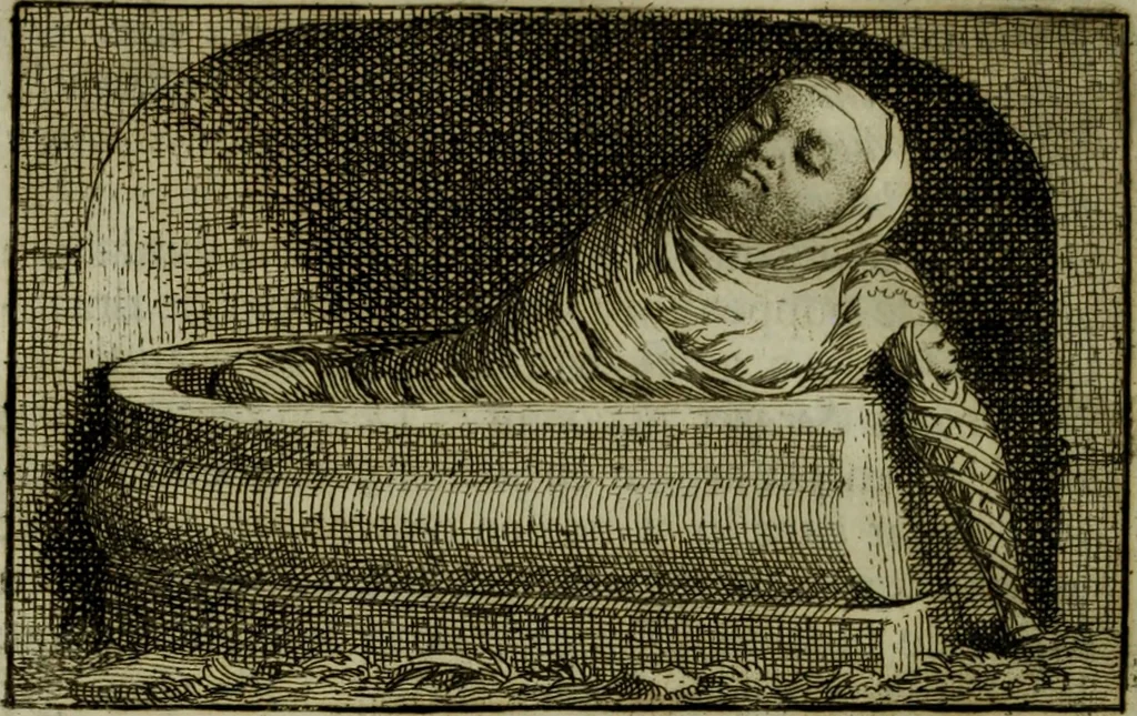 An illustration from De groote schouburgh der Nederlantsche konstschilders en schilderessen : waar van 'er veele met hunne beeltenissen ten tooneel verschynen, en hun levensgedrag en konstwerken beschreven worden : zynde een vervolg op het Schilderboek van K. v. Mander ..., 1753, leaf 229