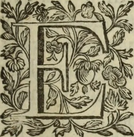An illustration from De groote schouburgh der Nederlantsche konstschilders en schilderessen : waar van 'er veele met hunne beeltenissen ten tooneel verschynen, en hun levensgedrag en konstwerken beschreven worden : zynde een vervolg op het Schilderboek van K. v. Mander ..., 1753, leaf 6