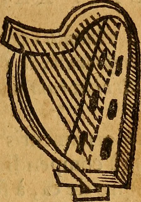 An illustration from De Hibernia & antiquitatibus ejus, disquisitiones, 1658, leaf 134