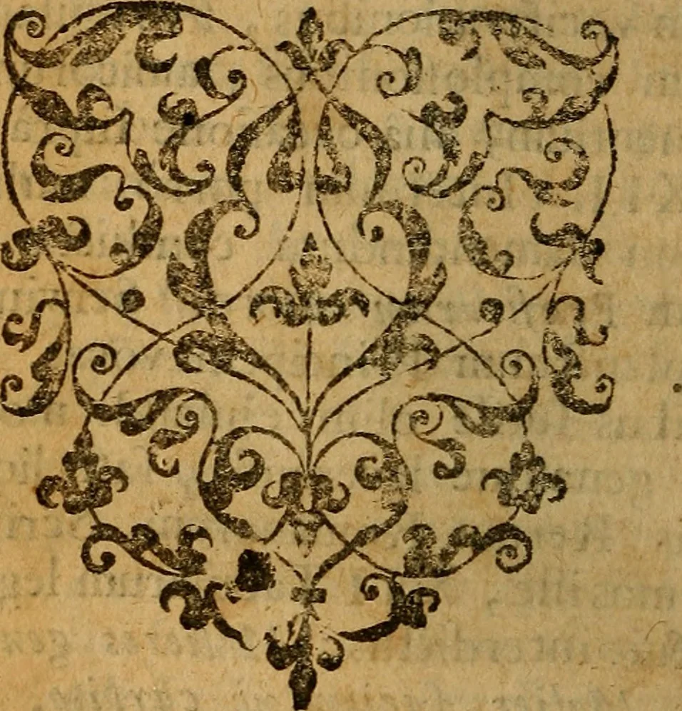 An illustration from De Hibernia & antiquitatibus ejus, disquisitiones, 1658, leaf 375