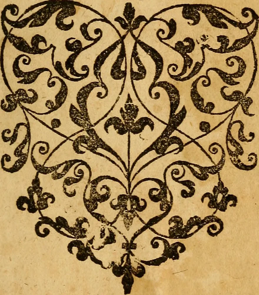 An illustration from De Hibernia & antiquitatibus ejus, disquisitiones, 1658, leaf 480