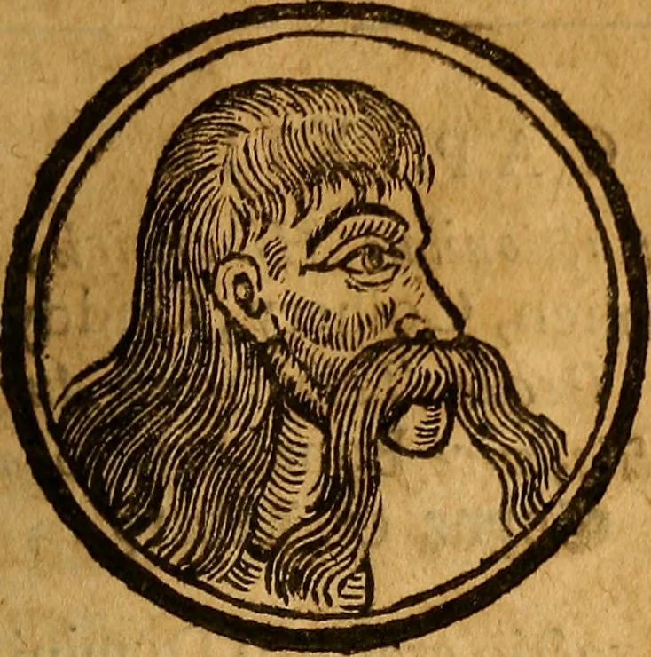 An illustration from De Hibernia & antiquitatibus ejus, disquisitiones, 1658, leaf 86