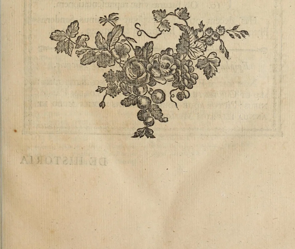 An illustration from De historia SS. imaginum et picturarum, pro vero earum usu contra abusus, libri quatuor, 1771, leaf 37
