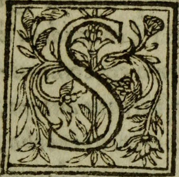 An illustration from De historia ss. imaginvm et pictvrarvm pro vero earvm vsv contra abvsvs libri IV, 1594, leaf 8