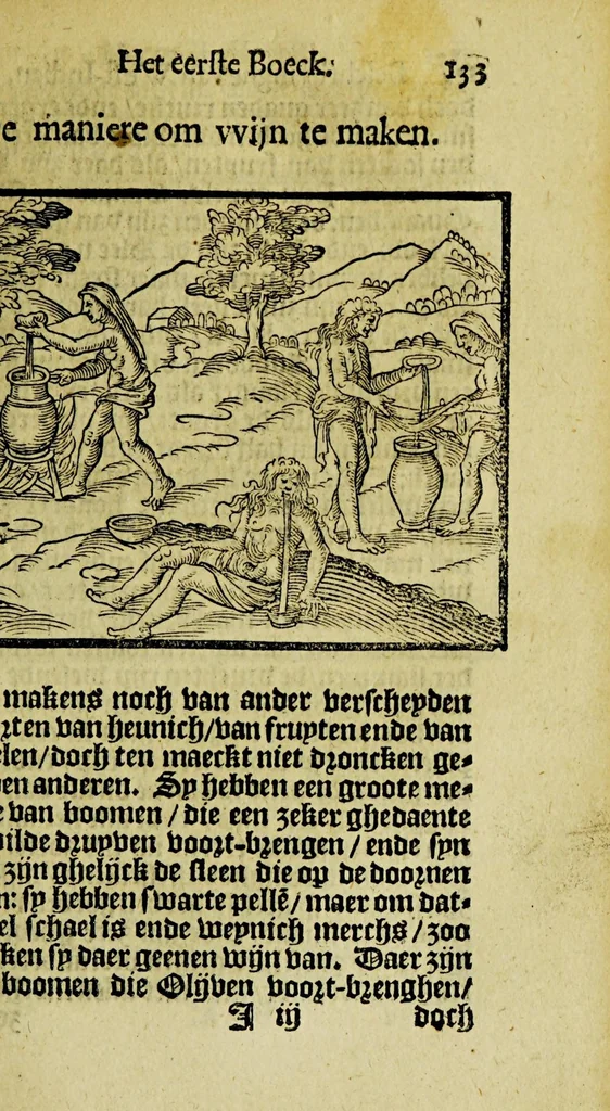 An illustration from De historie, van de Nieuwe Weerelt, te weten, de beschrijvinghe van West-Indien. : Waer in verhaelt wert, van de eylanden ende zeen nieulick gevonden ..., 1610, leaf 161