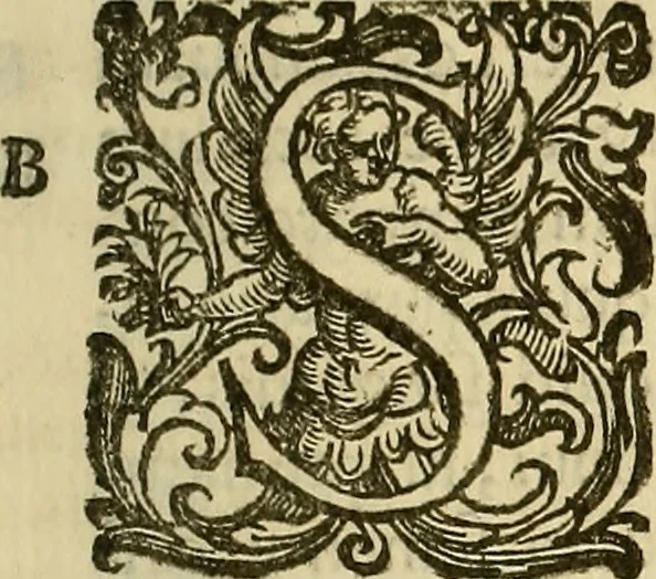 An illustration from De humani conceptus formatione, ac partus tempore, 1604, leaf 12