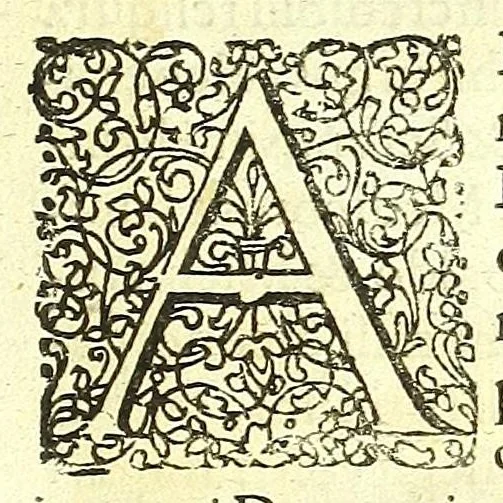 An illustration from De humani corporis fabrica libri decem :, 1632, leaf 11