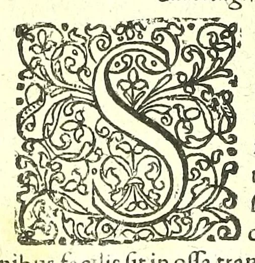 An illustration from De humani corporis fabrica libri decem :, 1632, leaf 110