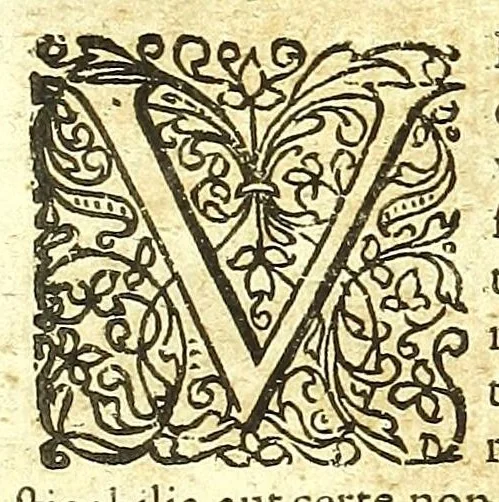 An illustration from De humani corporis fabrica libri decem :, 1632, leaf 241