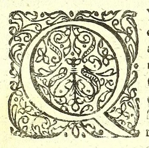 An illustration from De humani corporis fabrica libri decem :, 1632, leaf 363
