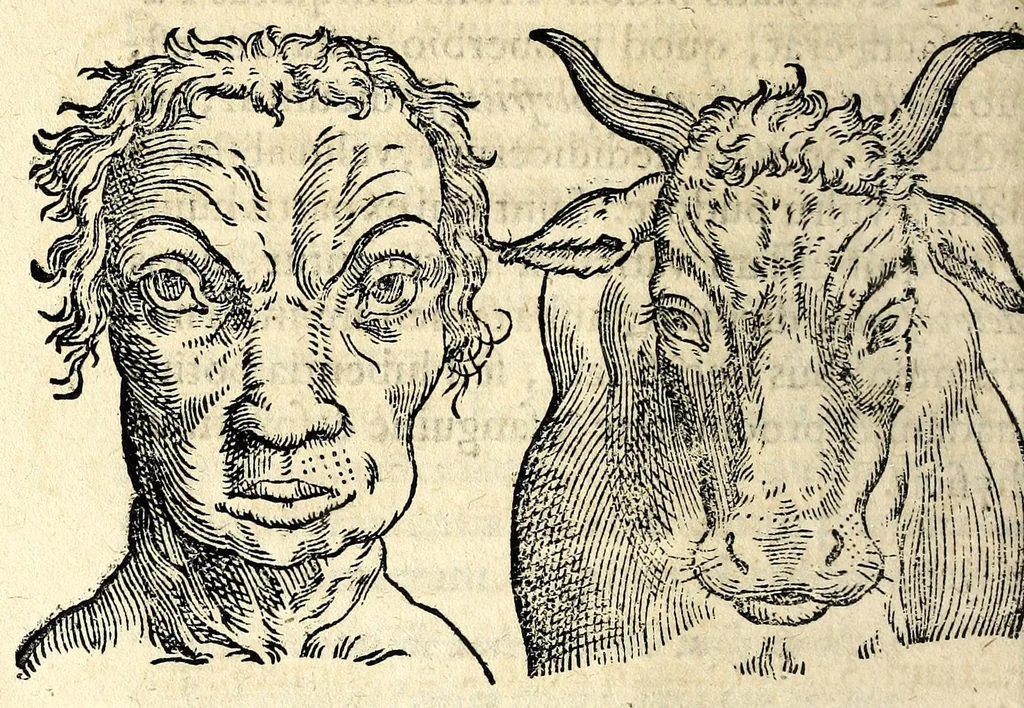 An illustration from De hvmana physiognomonia Ioannis Baptistae Portae Neapolitani libri IIII : qvi ab extimis, quae in hominum corporibus conspiciuntur signis, ita eorum naturas, mores & consilia (egregiis ad viuum expressis iconibvs) demonstrant, vt intimos animi recessus penetrare videantur ... : nunc ab innumeris mendis, quibus passim neapolitana scatebat editio, emendati, primumq[ue] in Germania in lucem editi : cum duplici rerum & verborum indice longe locupletissimo, 1593, leaf 128