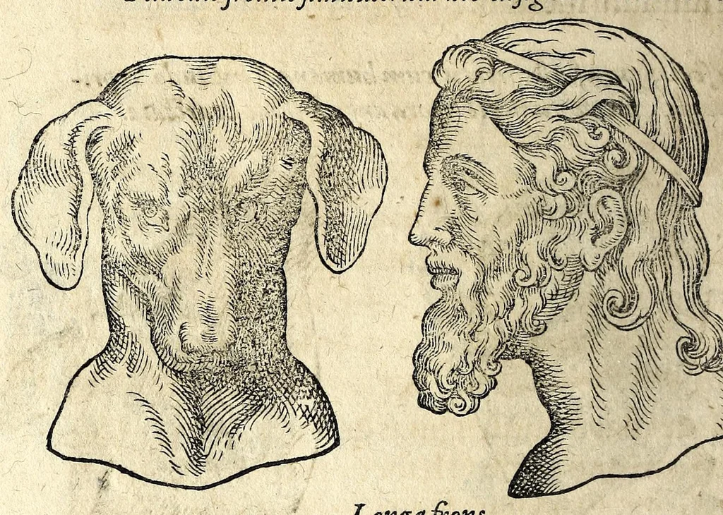 An illustration from De hvmana physiognomonia Ioannis Baptistae Portae Neapolitani libri IIII : qvi ab extimis, quae in hominum corporibus conspiciuntur signis, ita eorum naturas, mores & consilia (egregiis ad viuum expressis iconibvs) demonstrant, vt intimos animi recessus penetrare videantur ... : nunc ab innumeris mendis, quibus passim neapolitana scatebat editio, emendati, primumq[ue] in Germania in lucem editi : cum duplici rerum & verborum indice longe locupletissimo, 1593, leaf 132