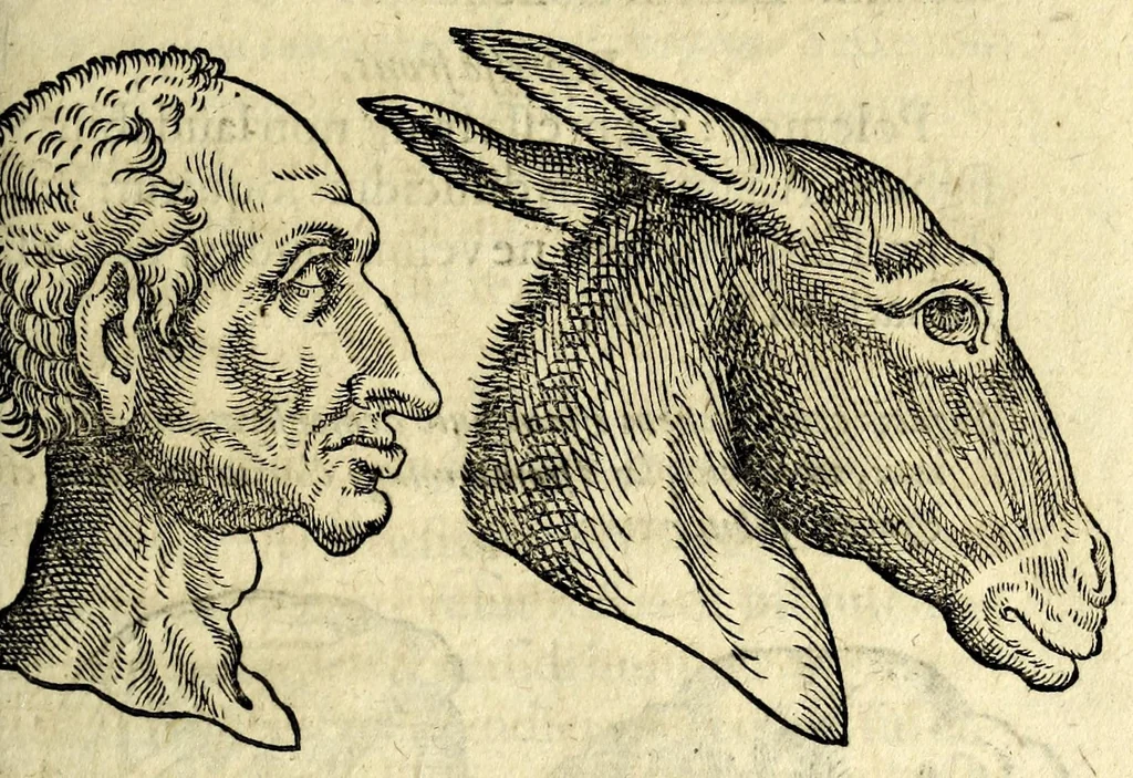An illustration from De hvmana physiognomonia Ioannis Baptistae Portae Neapolitani libri IIII : qvi ab extimis, quae in hominum corporibus conspiciuntur signis, ita eorum naturas, mores & consilia (egregiis ad viuum expressis iconibvs) demonstrant, vt intimos animi recessus penetrare videantur ... : nunc ab innumeris mendis, quibus passim neapolitana scatebat editio, emendati, primumq[ue] in Germania in lucem editi : cum duplici rerum & verborum indice longe locupletissimo, 1593, leaf 135